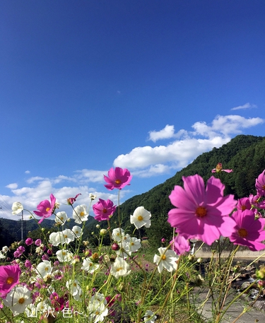 2019 秋晴れの木曽へ 2019 秋晴れの木曽へ