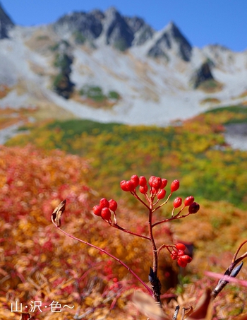 2019 山岳紅葉 2019 山岳紅葉