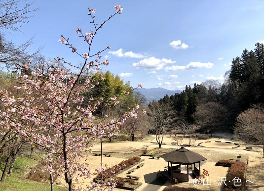 3月11日 3月11日