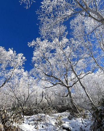 2023 雪山シーズンイン 根子岳 2023 雪山シーズンイン 根子岳
