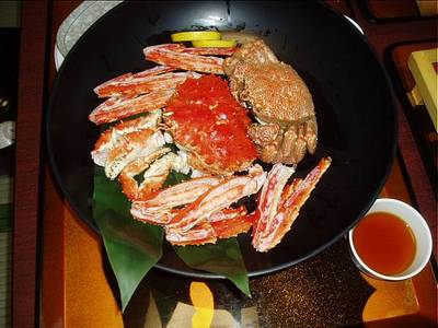 09年 出会ったサカナ達