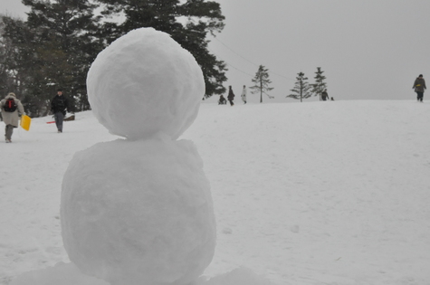 そり遊び IN もみの木森林公園