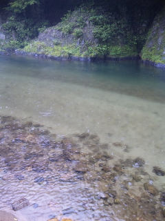 清流〜♪