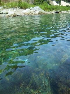 今日も清流♪