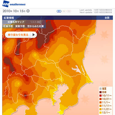 見頃はいつ??