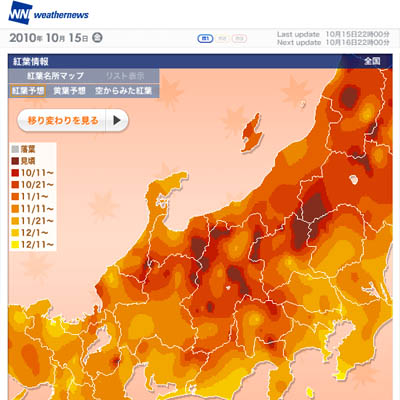 見頃はいつ??