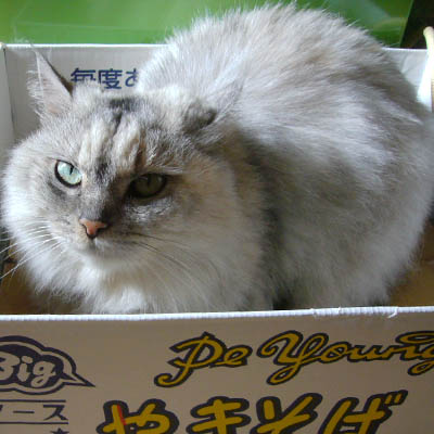 いまいち