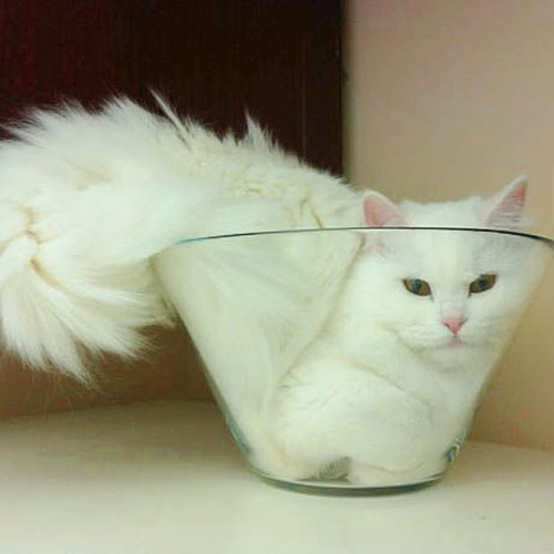 液体