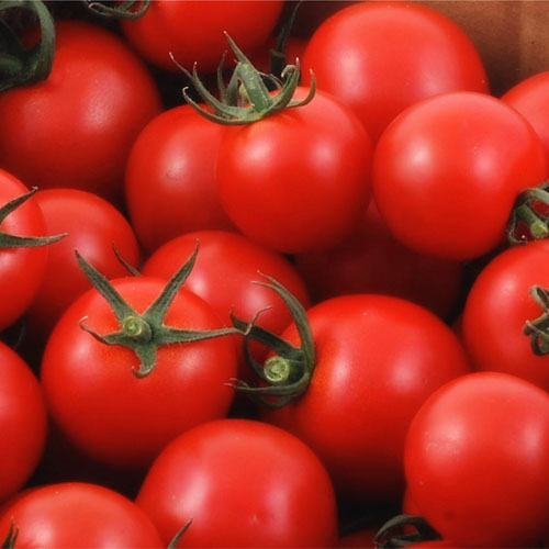 ここまで体にいいとは!「夏トマト」を食べるべき6つの理由