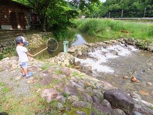 南光自然観察村②