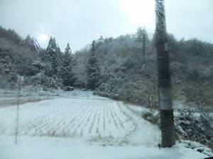 川湯温泉野営場 木魂の里③