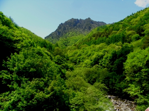 2010年5月 天城山・高尾山・西沢渓谷