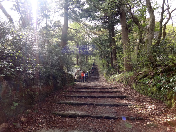 鳥取県 キャンプ場 大山 森の国 大山フィールドアスレチック