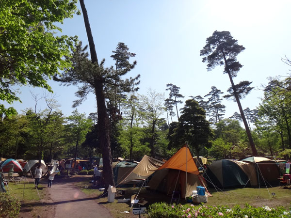 鳥取県 キャンプ場 大山 森の国 大山フィールドアスレチック