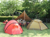 第二回鉄板祭り・・?