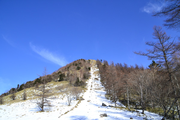 笠取山
