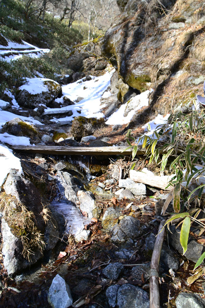笠取山