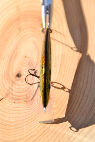 YOMATSUBE MINNOW