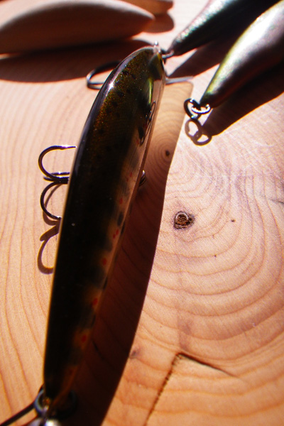 YOMATSUBE MINNOW