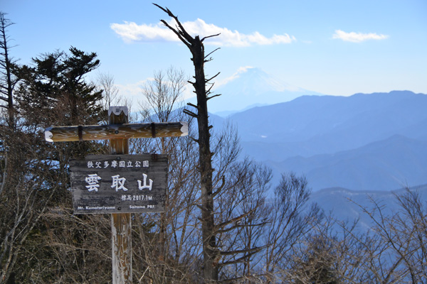 2回目の雲取山