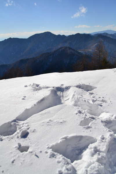 2回目の雲取山