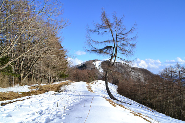 2回目の雲取山