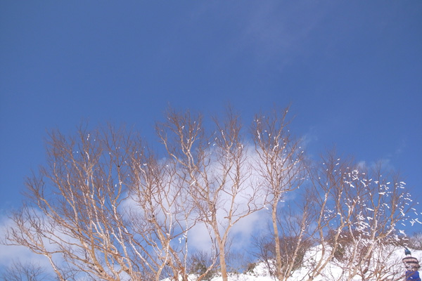 谷川岳