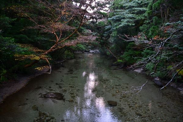 ぶらり屋久島 2日目