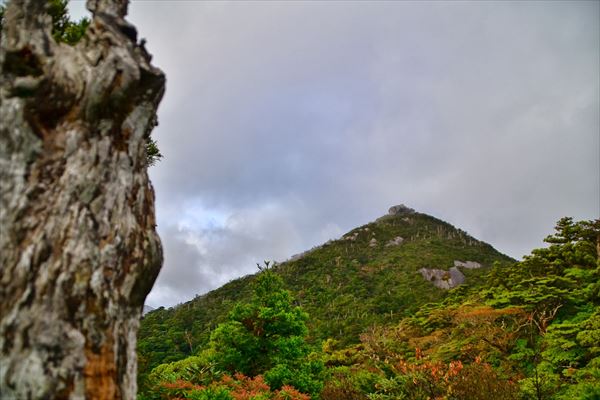 ぶらり屋久島 2日目