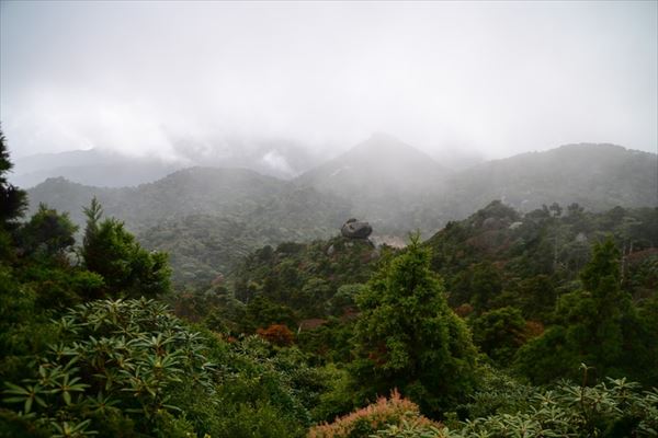 ぶらり屋久島 2日目
