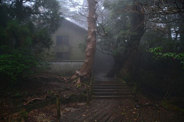 ぶらり屋久島 2日目