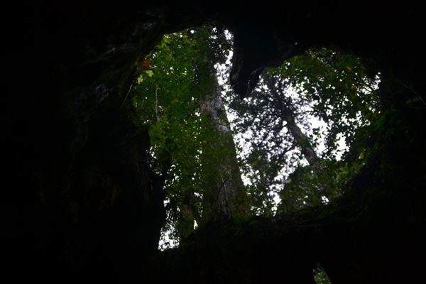 ぶらり屋久島 3日目
