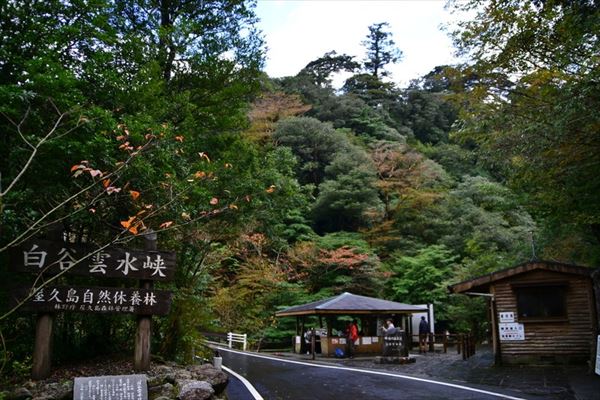 ぶらり屋久島 3日目