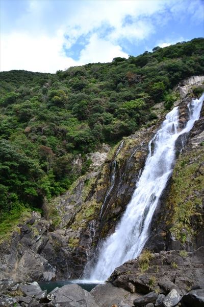 ぶらり屋久島 4日目と5日目