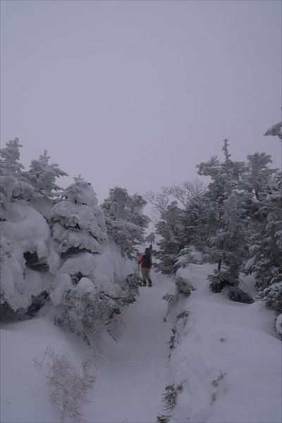 真っ白の北横岳で登り納め