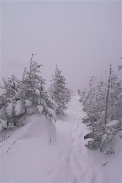 真っ白の北横岳で登り納め