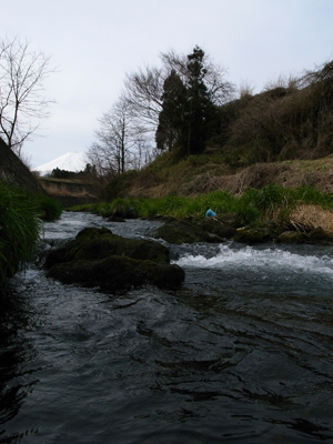 桂川釣行(都留地区)