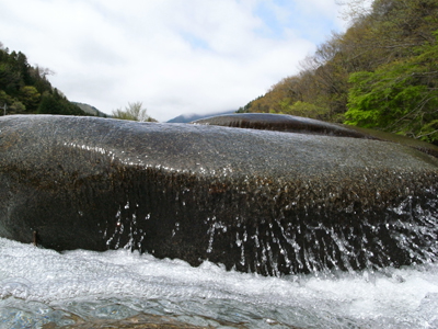 桂川支流にて…