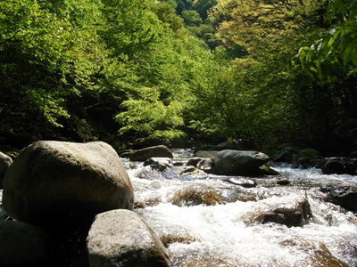 桂川本流&支流(大月地区)
