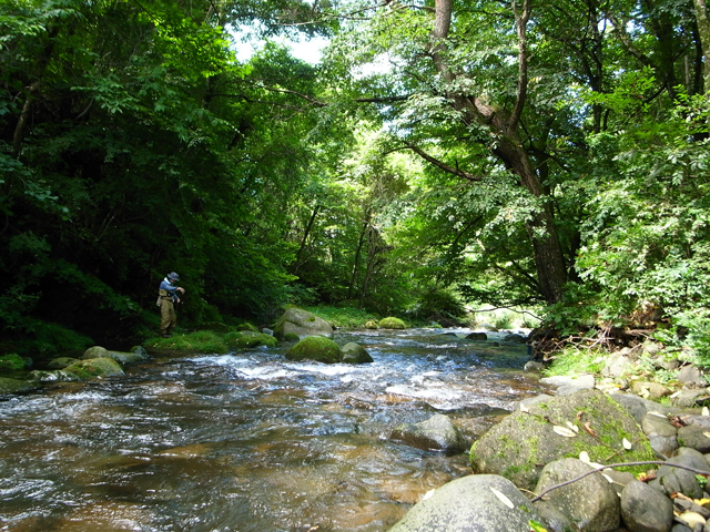 塩川水系 有給釣行