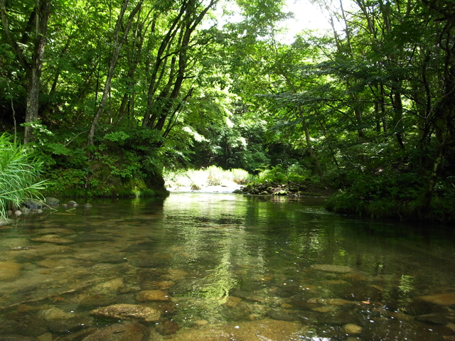 塩川水系 有給釣行
