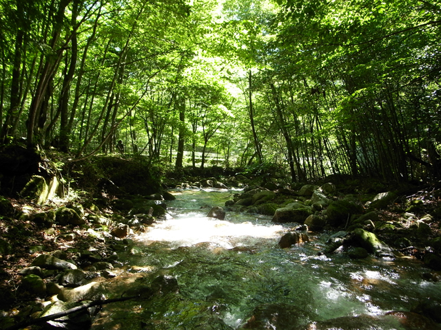 塩川水系 有給釣行