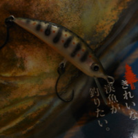 自作アマゴカラー 失敗