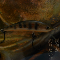 自作アマゴカラー 失敗
