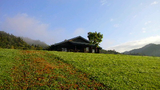 北海道の反芻中~