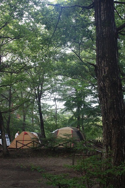 キャンプラビット (20120811-0813)