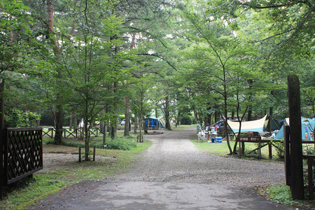 キャンプラビット (20120811-0813)
