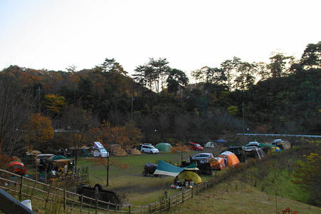 清和県民の森オートキャンプ場（20121123-1125)