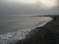 リベンジの海アメ海サクラ