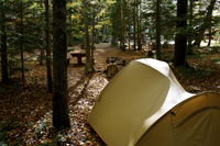 autumn camp
